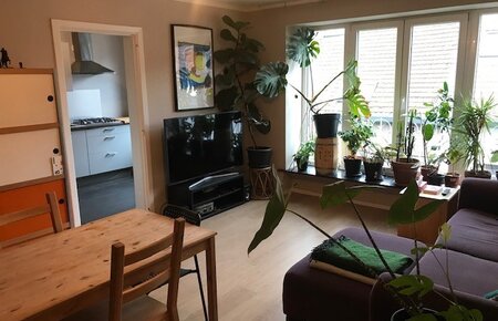 Ruim 3 slaapkamer app tussen Dampoort Station en St Jacobs, zijstraat van Dampoortstraat
